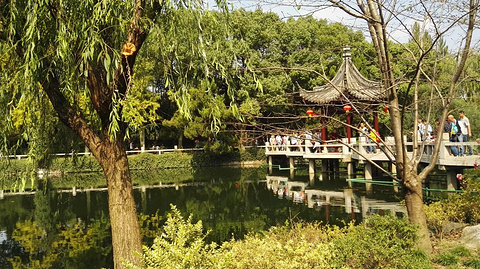 南翔古镇(Nanxiang Ancient Town)