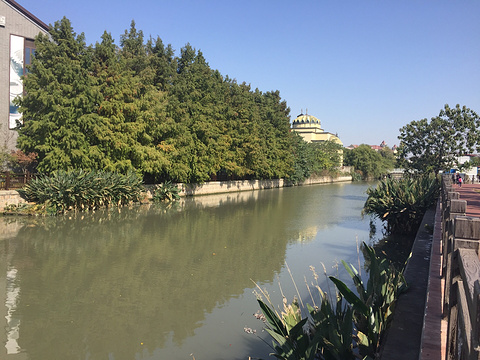 中新泾公园(Zhongxinjing Park)