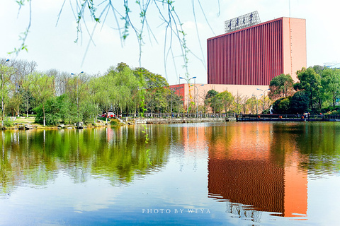 重庆大学(Chongqing University)