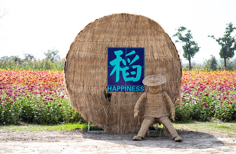嘉北郊野公园(Jiabei Country Park)