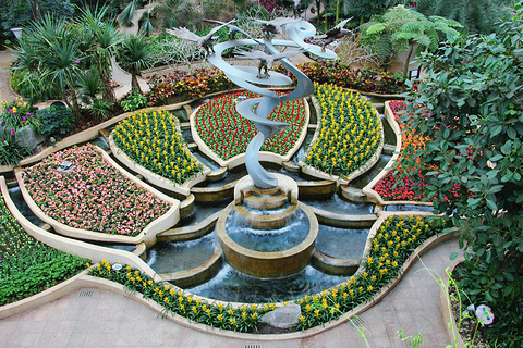 南山植物园(Nanshan Botanical Garden)