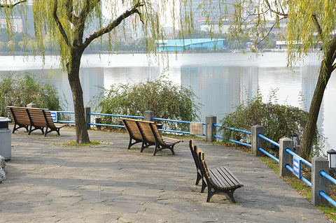 长风公园(Changfeng Park)