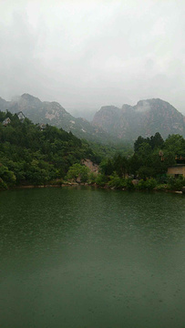 白虎涧森林公园/