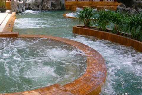 东丽湖温泉度假区(Dongli Lake Hot Spring Resort)
