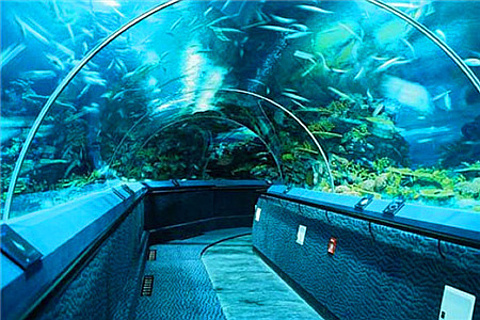 上海长风海洋世界(Changfeng Ocean World)