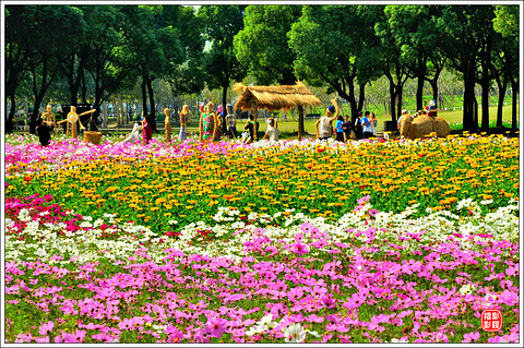 世纪公园(Century Park)