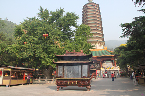 八大处公园(Badachu Park)