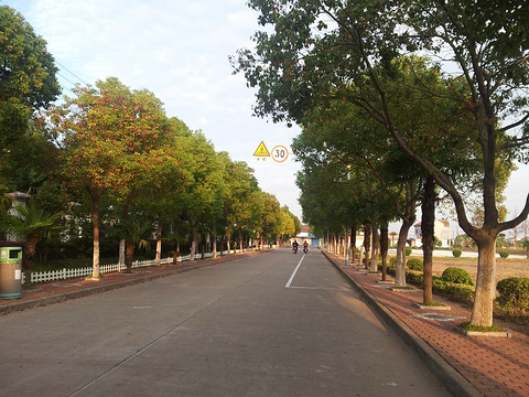 横沙岛(Hengsha Island)