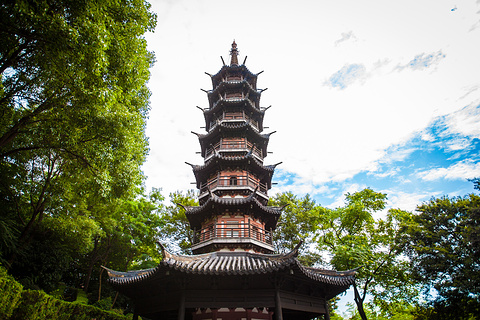 佘山国家森林公园(Sheshan National Forest Park)