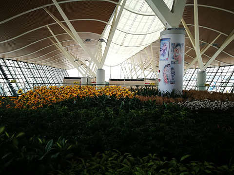 浦东机场博物馆(浦东机场T2店)(Museum of Pudong Airport(Pudong Airport Terminal 2))
