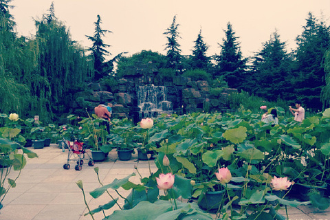 古华公园(Guhua Park)