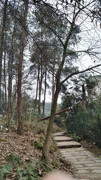 云篆山(Yunzhuan Mountain)
