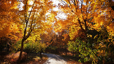 东坝郊野公园(Dongba Country Park)
