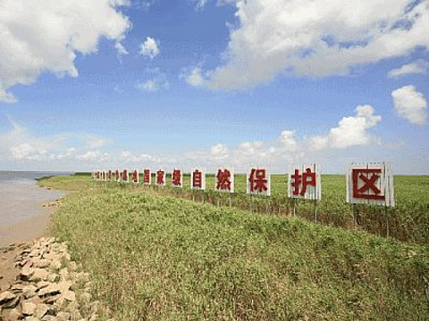九段沙湿地国家级自然保护区(Jiuduansha Wetland National Nature Reserve)