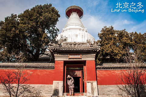 白塔寺(Miaoying Temple (Baita Temple))