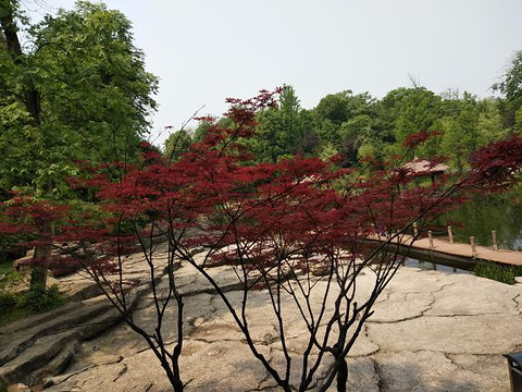 观音塘湿地公园(Guanyintang Wetland Park)