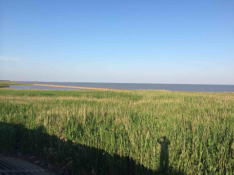 崇明岛国家地质公园(Chongming Island National Geopark)