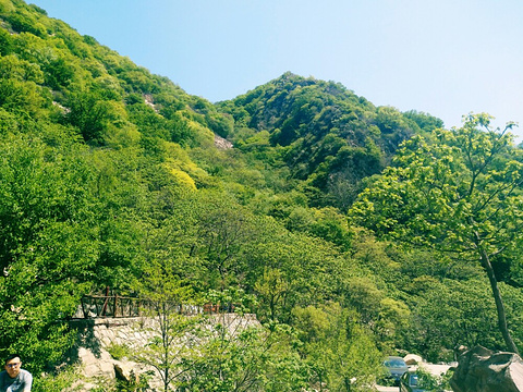梨木台风景区(Limutai Scenic Area)