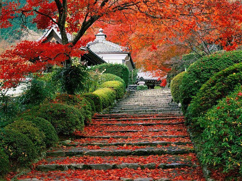 香山公园(Fragrant Hills Park)