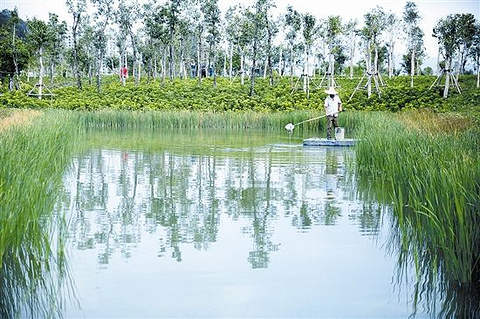 东岸湿地公园(Dong&#039;an Wetland Park)