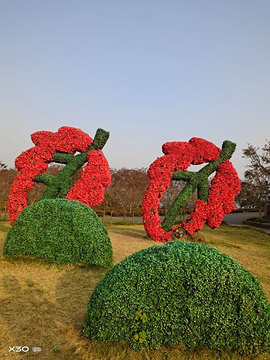 南湖多彩植物园(Nanhuduocai Botanical Garden)