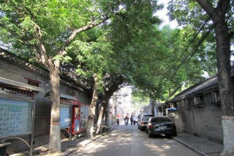 史家胡同(Shijia Hutong)