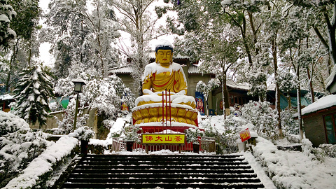 茶山竹海(Tea Mountain and Bamboo Forest)