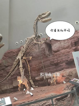 重庆自然博物馆（新馆）(Chongqing Museum of Natural History  (New Hall))