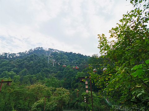 南温泉索滑道(South Hot Spring Cableway)