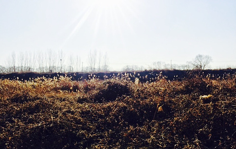 东郊湿地公园(Dongjiao Wetland Park)