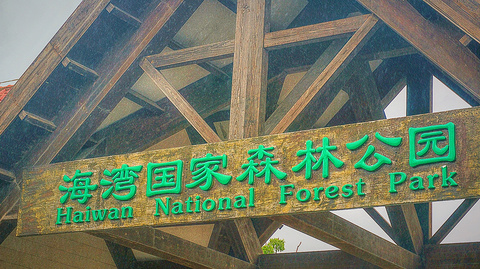 上海海湾国家森林公园(Shanghai Haiwan National Forest Park)