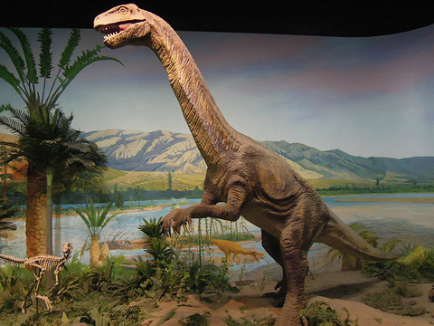 天津自然博物馆(Tianjin Natural History Museum)