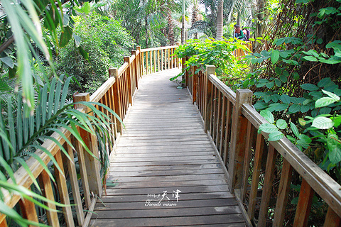 天津热带植物观光园(Tianjin Tropical Botanical Garden)