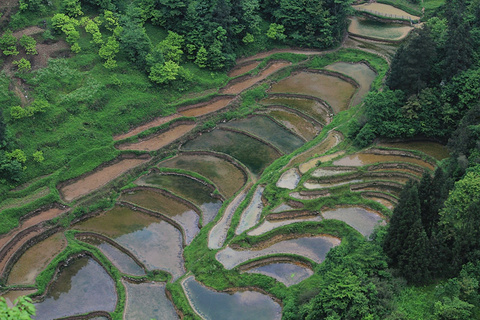 天坑寨子景区(Tiankeng Zhaizi Scenic Area)