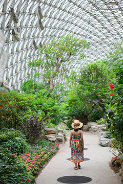 上海辰山植物园(Shanghai Chenshan Botanical Garden)