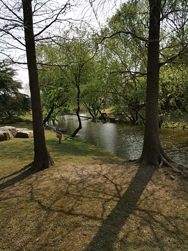 上海滨江森林公园(Binjiang Forest Park)
