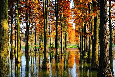 青西郊野公园(Qingxi Country Park)