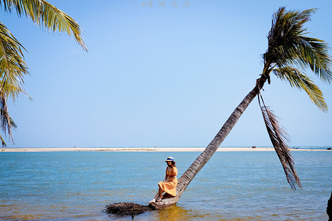 椰子洲岛(Coconut Chau)