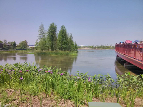 星愿公园(Xingyuan Park)