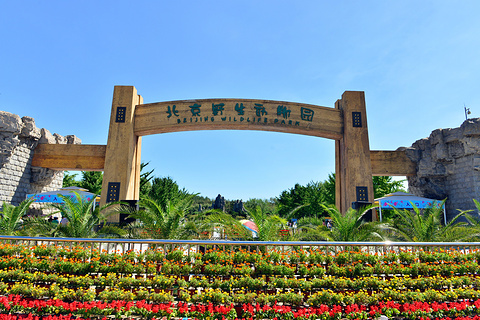 北京野生动物园(Beijing Wildlife Park)
