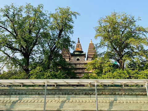 石刻艺术博物馆(Art Museum of Stone Carvings)