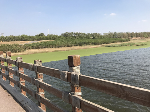 北辰郊野公园(Beichenjiaoye Park)