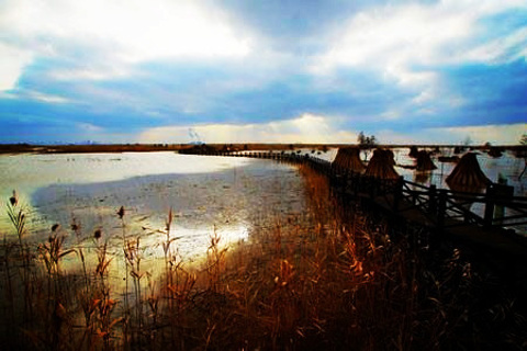 西沙湿地公园(Xisha Wetland Park)