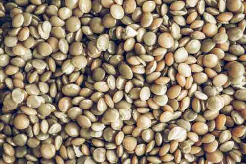 吃兵豆的禁忌，兵豆的功效和作用