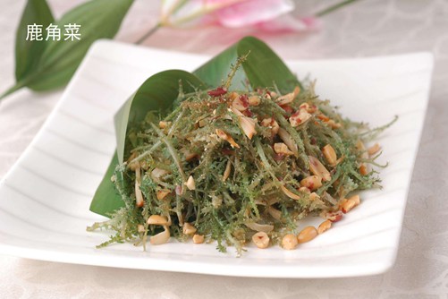 鹿角菜和珊瑚草区别，学会以下几点轻松分辨鹿角菜和珊瑚草