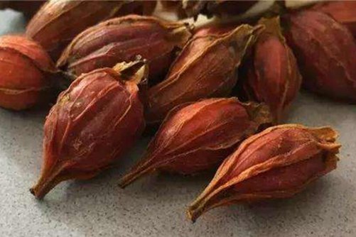 黄栀子的功效与作用 黄栀子怎么吃更有营养