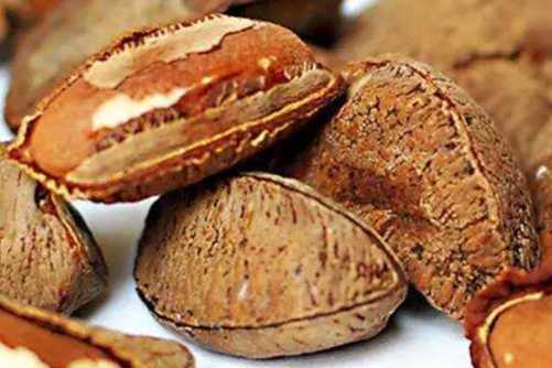 鲍鱼果有什么禁忌？鲍鱼果虽补 但不要多吃