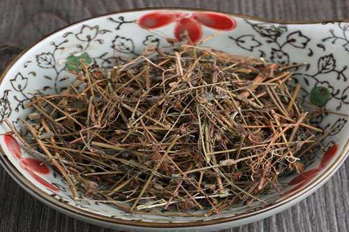 田基黄的功效与作用，这种田边野草是治肝炎良药50元一斤