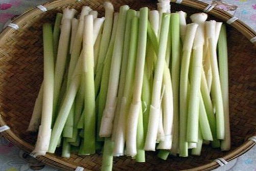 蒲菜的营养价值，蒲菜怎么做好吃又营养