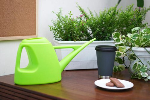 花草养护，如何辨别植物需要浇水